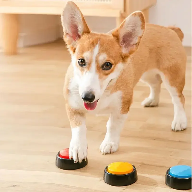 2026 Recordable Talking Pet Bu - Event Party Box review and price